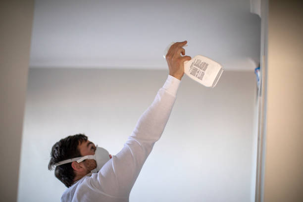 Best Residential Mold Removal  in Weston Lakes, TX