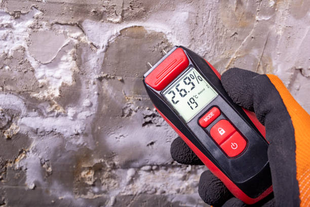 Attic Mold Removal in Weston Lakes, TX