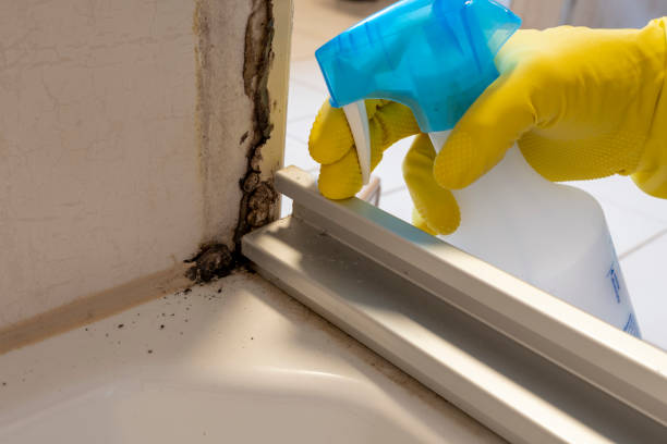 Best Emergency Mold Removal  in Weston Lakes, TX