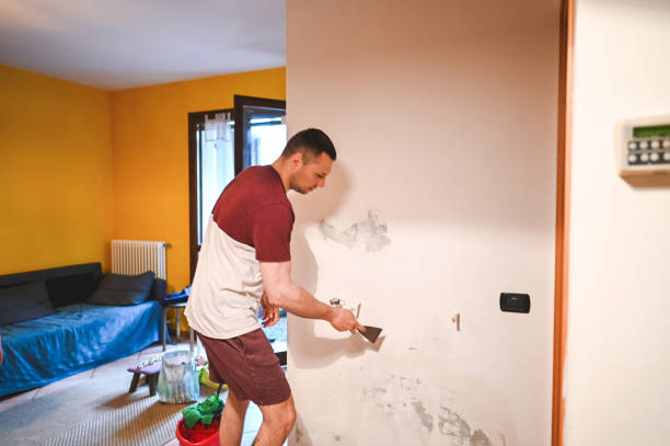 Trusted Weston Lakes, TX Mold Removal Experts
